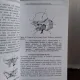 ANIMALE VERTEBRATE - DAN GEORGESCU VOL.I