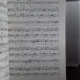 ARII DIN OPERE PENTRU SOPRAN SI TENOR (VOCE SI PIAN) - MIRALENA MARINESCU
