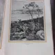 ARTS IN THE RUMANIAN PEOPLE'S REPUBLIC, ALBUM, TEXT IN LIMBA ENGLEZA