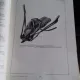 ATLAS DE ANATOMIE COMPARATIVA - VASILE GHETIE   VOL.2