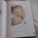 ATLAS DE ANATOMIE UMANA, VOL.III - FRANCISCUS KISS
