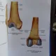 ATLAS OF HUMAN ANATOMY - CH. ZANOSCHI