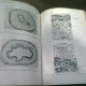 ATLAS OF HUMAN PRENATAL HISTOLOGY - EDITOR HIDEO NISHIMURA  (CARTE IN LIMBA ENGLEZA)
