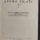Atomii de azi - Gabriela Chaborski