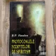 B. P. Hasdeu - Protocoalele sedintelor de spiritism