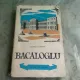 BACALOGLU - FLORICA CIMPAN
