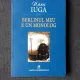 BERLINUL MEU E UN MONOLOG - NORA IUGA