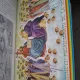 Biblia Maicii Domnului, Tara Sfanta Romania