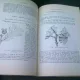 BIOLOGIA GALELOR. MONOGRAFIE CECIDOLOGICA - M.A. IONESCU