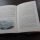 BIOLOGIE GENERALA, MANUAL PENTRU CLASA A XI-A - TRAIAN TRETIU