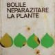 BOLILE NEPARAZITARE LA PLANTE, ANA HULEA