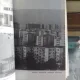 DIN COLECTIA JUDETELE PATRIEI - JUDETUL BOTOSANI. MONOGRAFIE