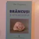 Brancusi si arta moderna - Dan Grigorescu