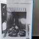 BRANCUSI SI TRANSCENDENTA OBIECTIVA - VLAICU IONESCU