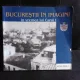 Bucurestii in imagini in vremea lui Carol I  vol.I