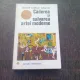 Caderea si salvarea artei moderne , Giulio Carlo Argan