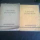 CALCULE ECONOMICE - S. PELZ   2 VOLUME