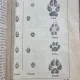 CALENDAR VANATORESC 1948