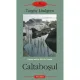 CALTABOSUL - TORGNY LINDGREN