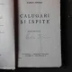 Calugari si ispite - Damian Stanoiu