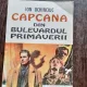 CAPCANA DIN BULEVARDUL PRIMAVERII - ION OCHINCIUC