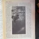Carpatii Anul X, Nr. 8, 15 august 1942