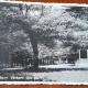 Carte postala, Baia Mare, vedere din parc, 1937