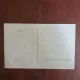Carte Postala - Bucuresti. Palatul Regal