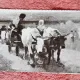 Carte postala, Car cu boi/Grigorescu