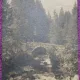 Carte Postala, Elvetia, Champery - Pont des Moulins, 1911