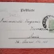 Carte postala, felicitare cu randunele, inceput de secol XX
