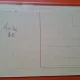 Carte postala ilustrata , cioban cu turma , peisaj - necirculata