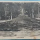Carte Postala, Lacul Sarat, Parcul, 1936