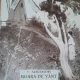 Carte postala, moara de vant, perioada interbelica