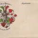 Carte postala necirculata din perioada interbelica