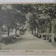Carte Postala, Orasul Biserica Alba, Banatul de sud, Aleea principala, 1909