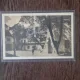 Carte Postala - Sibiu. Curtea Sfatului