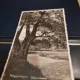 Carte Postala - Vedere din parc