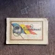 Castelul din Buia (Ardeal) Mihai Viteazul- (Album) Sofroniu Rosca (1919)