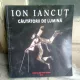 CAUTATORII DE LUMINA - ION IANCUT (coordonator Fundatia FILDAS ART , 2018)