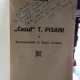 CAZUL T. PISANI SI NEOLOGISMELE IN LIMBA ROMANA - T.D. MARUTA