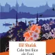CELE TREI FIICE ALE EVEI -  ELIF SHAFAK