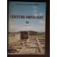 CERCETARI ARHEOLOGICE VOL. XI, PARTEA A II-A