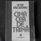 Cina cea de taina - Petre Salcudeanu