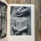 Clemen Kurlimann Gotliche Kathedralen Paris Chartres Amiens Reims