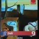 COLECTIA PICTORI DE GENIU -14 VOLUME