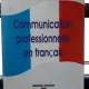 Communication Professionnelle en Francais - Roxana Trofin
