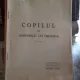COPILUL IN AMINTIRILE LUI CREANGA - STELIAN N. CUCU