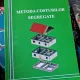 Corneliu Schiopu - Metoda Costurilor Segregate