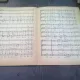 CORURI - NICOLAE URSU